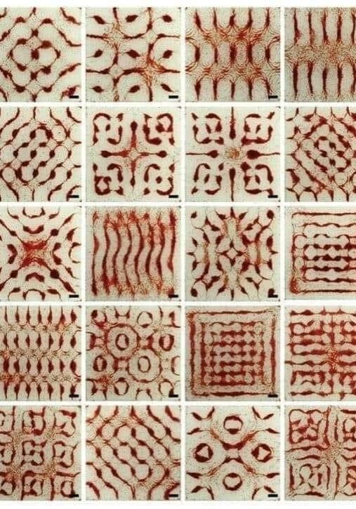 Sound Is Movement